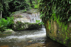Cachoeira da Belina, Rua Souza, Paraty