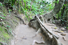 Trindade, Paraty