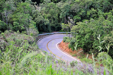 Road Paraty - Cunha